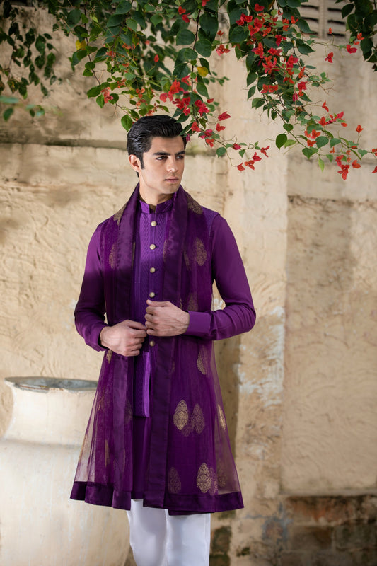 Aubergine Self-Embroidered Waist Coat